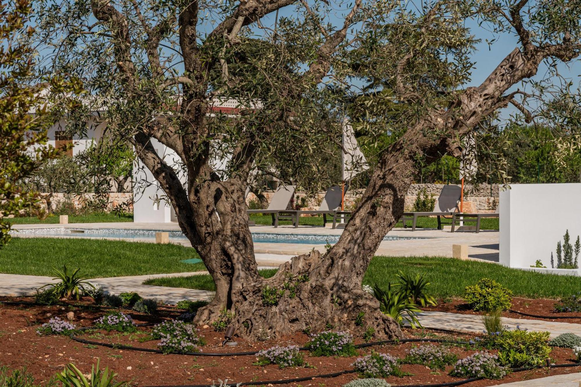 Trullo Jale - Boutique Apartments Остуні Екстер'єр фото